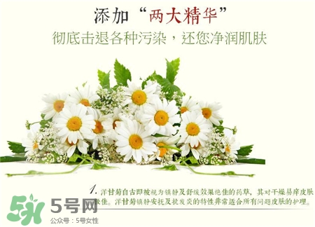 洋甘菊面膜哪個(gè)牌子好?2017洋甘菊面膜排行榜 洋甘菊面膜哪個(gè)牌子好?2017洋甘菊面膜排行榜