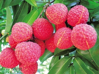 孕婦吃荔枝上火了怎么辦？孕婦吃荔枝對(duì)胎兒好嗎