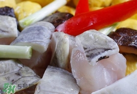 鱷魚肉有刺嗎？鱷魚肉有什么功效