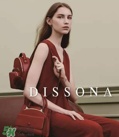 dissona是什么牌子？dissona迪桑娜是哪個(gè)國家的品牌？