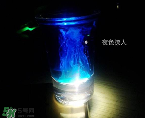 僵尸雞尾酒配方是什么？僵尸雞尾酒配方做法