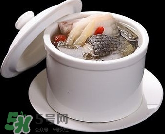 干鱷魚肉怎么吃？鱷魚肉怎么吃治咳嗽？