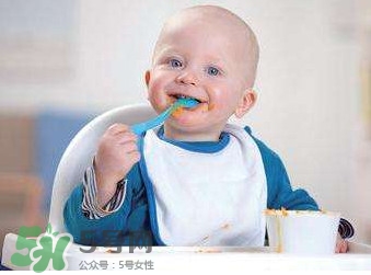 寶寶幾個月可以吃肉松？寶寶多大可以吃肉松