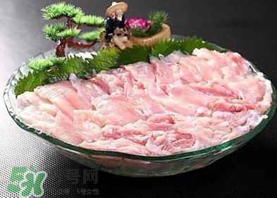 鱷魚肉是發(fā)物嗎？鱷魚肉是不是發(fā)物