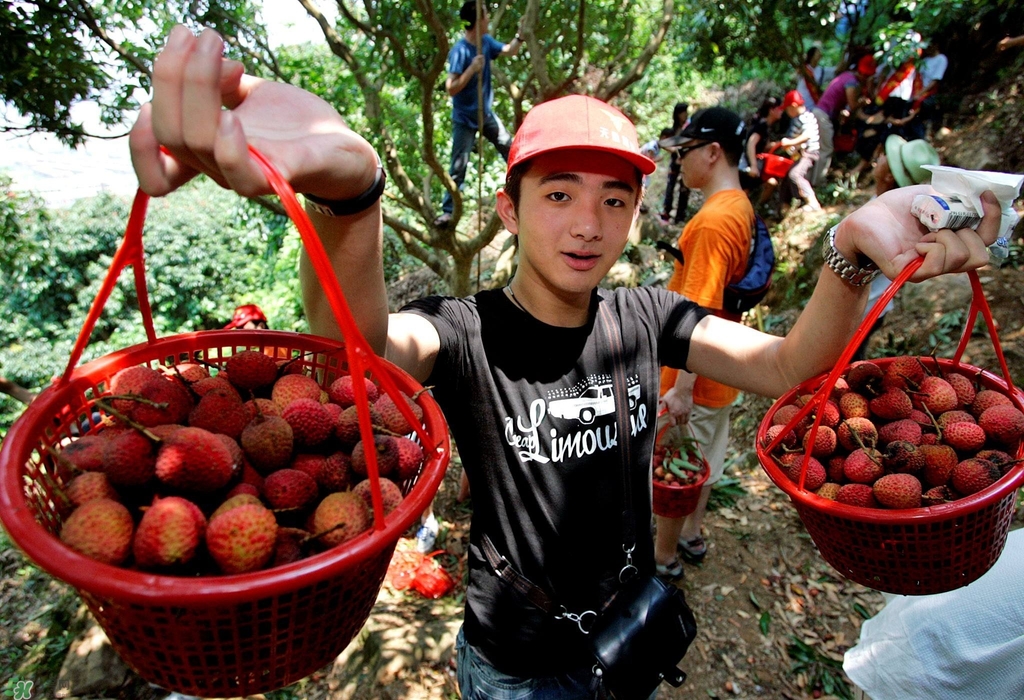 孕婦吃荔枝上火了怎么辦？孕婦吃荔枝對(duì)胎兒好嗎