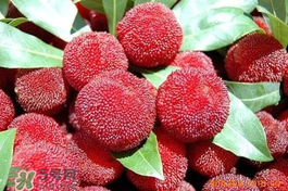 楊梅吃多了會(huì)上火嗎？楊梅吃多了會(huì)胖嗎？