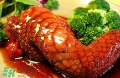 鱷魚肉是寒性的嗎？ 鱷魚肉是寒性還是溫性？