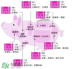 里脊肉是哪個部位？里脊肉是哪里的肉