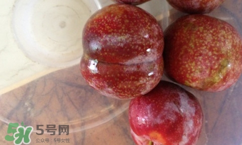 三華李可以和香蕉一起吃嗎？香蕉能和三華李一起吃嗎