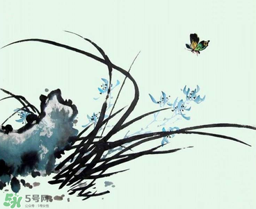 空谷幽蘭是什么書？空谷幽蘭講的是什么？