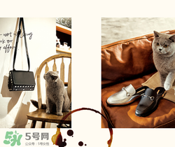 belle是什么牌子？百麗是哪個國家的品牌？