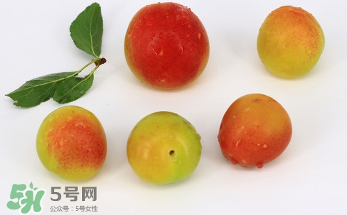 雙華李有什么營(yíng)養(yǎng)？雙華李的營(yíng)養(yǎng)價(jià)值