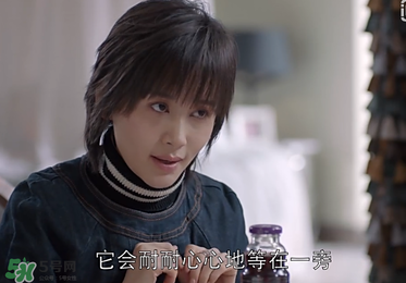 蒼蠅粉是什么意思？蒼蠅粉是什么東西？