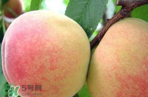 陽(yáng)山水蜜桃?guī)自路萆鲜?？?yáng)山水蜜桃上市時(shí)間