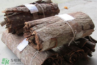 安哥拉樹皮有依賴性嗎？安哥拉樹皮有沒有依賴性？