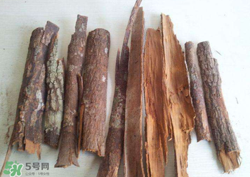 安哥拉樹皮有依賴性嗎？安哥拉樹皮有沒有依賴性？