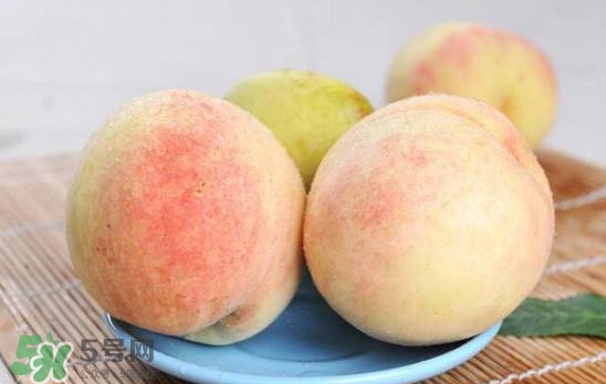 陽山水蜜桃多少錢一斤？無錫陽山水蜜桃價格