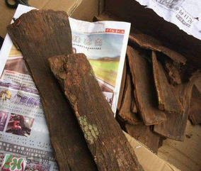 安哥拉樹皮能天天吃嗎？安哥拉樹皮天天吃可以嗎？