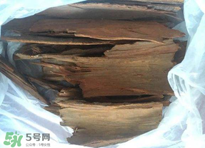 安哥拉樹皮能天天吃嗎？安哥拉樹皮天天吃可以嗎？