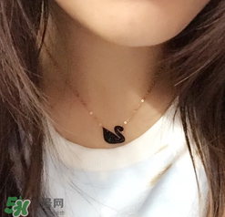 施華洛世奇黑天鵝是什么材質(zhì)？施華洛世奇黑天鵝是水晶嗎？