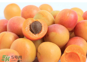 杏子一天吃幾個(gè)？杏子一次可以吃多少？