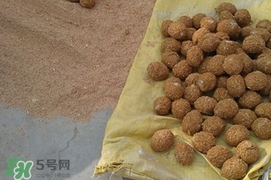 松花蛋是怎么做出來的？松花蛋的家庭腌制方法