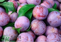 吃雙華李上火嗎？雙華李的功效與作用