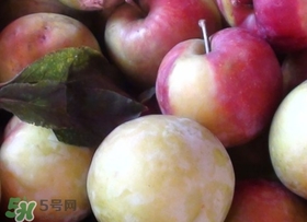 南華李什么時候成熟？南華李和三華李的區(qū)別