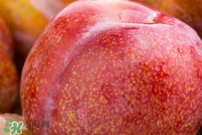 三華李種哪個品種好？三華李有多少個品種