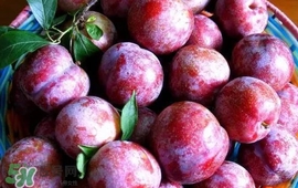 雙華李怎么吃不酸？雙華李不能和什么一起吃？