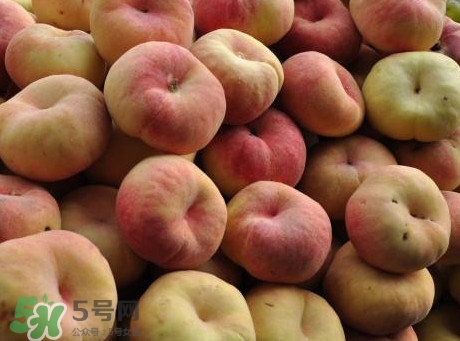 盤桃是蟠桃嗎？盤桃和蟠桃一樣嗎