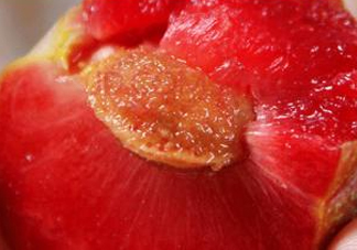 三華李可以和香蕉一起吃嗎？香蕉能和三華李一起吃嗎