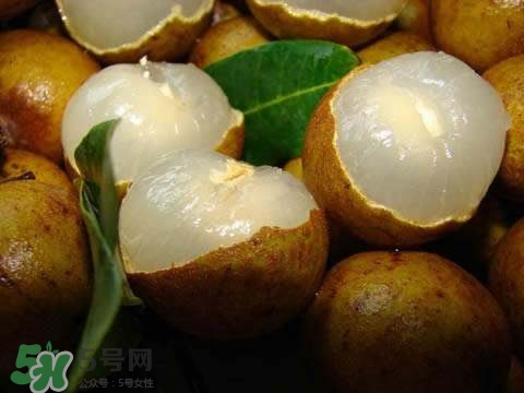 龍眼和桂圓是一種東西嗎？龍眼和桂圓的區(qū)別