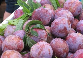 雙華李怎么吃不酸？雙華李不能和什么一起吃？