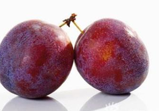 三華李可以放多久？三華李可以冷藏嗎？