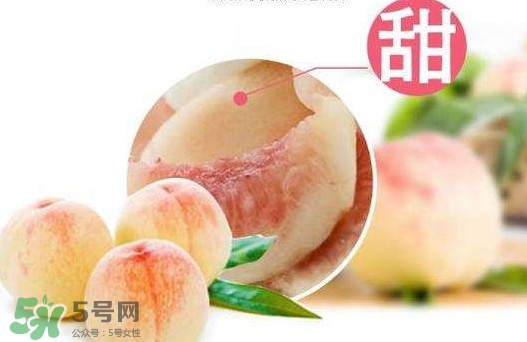 陽山水蜜桃多少錢一斤？無錫陽山水蜜桃價格