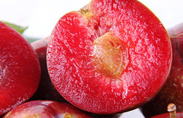 三華李可以用鹽泡嗎？三華李能用鹽水泡嗎