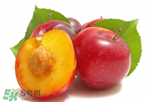 三華李可以放多久？三華李可以冷藏嗎？