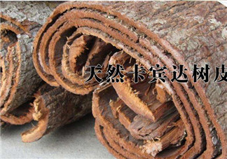 安哥拉樹皮能天天吃嗎？安哥拉樹皮天天吃可以嗎？