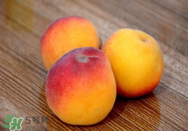 吃完杏子能喝牛奶嗎？杏子和牛奶能一起吃嗎？