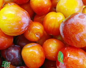 腌李子可以放多久？腌李子吃不完怎么處理？