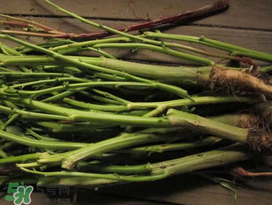 莧菜桿能吃嗎？莧菜桿子可以吃嗎？