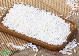 一斤糯米放多少曲酒？一斤糯米放幾克酒曲？