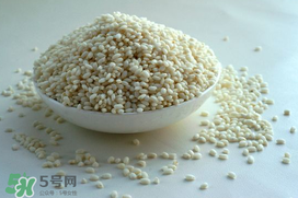 一斤糯米放多少曲酒？一斤糯米放幾克酒曲？