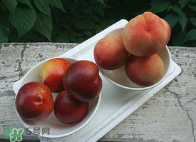 毛桃怎么保存？毛桃可以放冰箱？