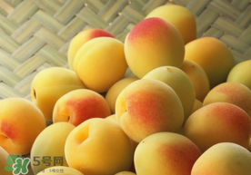 杏和雞蛋能一起吃嗎？杏子和雞蛋能一起吃嗎？