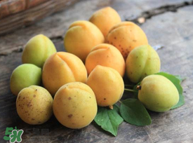 杏吃多了會(huì)怎么樣？杏吃多了會(huì)不會(huì)上火?