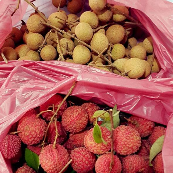 荔枝和龍眼哪個(gè)更上火？荔枝和龍眼味道差不多