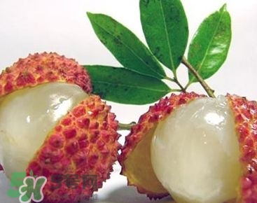 荔枝是幾月份的水果？荔枝是上火的嗎？