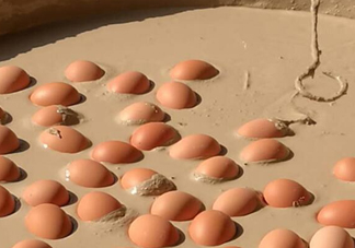 變蛋是什么蛋？變蛋是怎么做的？